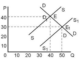 section-media