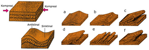 section-media