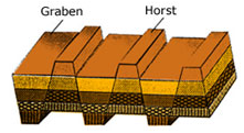 section-media