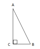 section-media