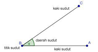 section-media