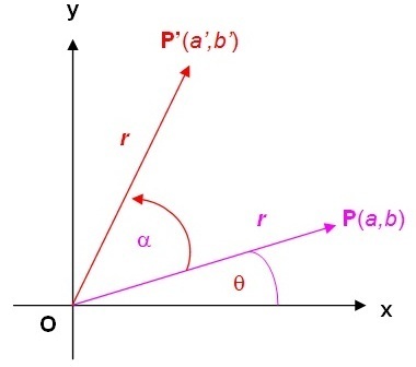 section-media