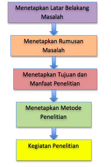section-media