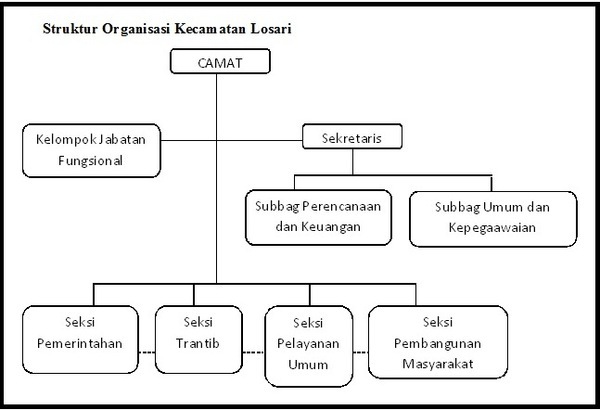 section-media