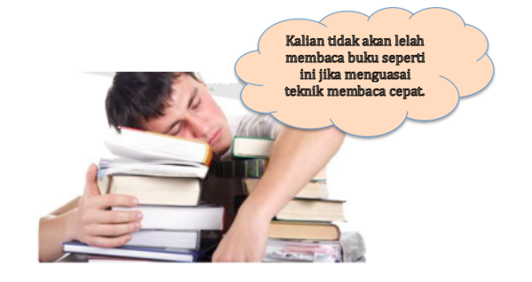 section-media