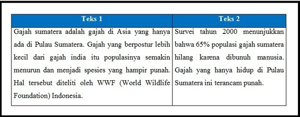 section-media