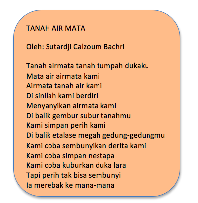 section-media
