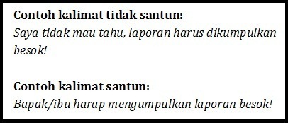 section-media