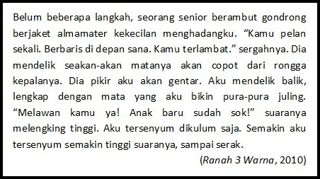 section-media