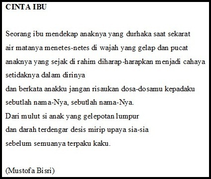 section-media