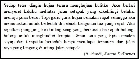 section-media