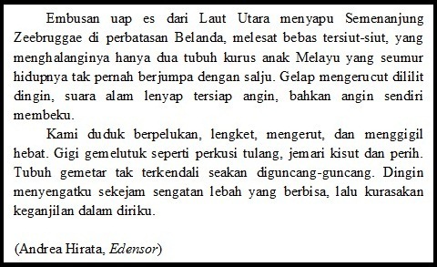 section-media