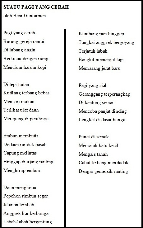 section-media