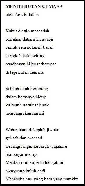 section-media