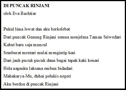 section-media