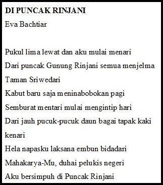 section-media