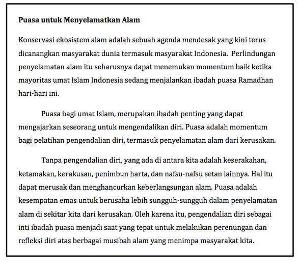 section-media