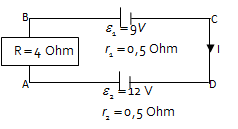 section-media