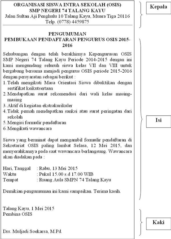 section-media