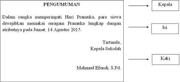 section-media