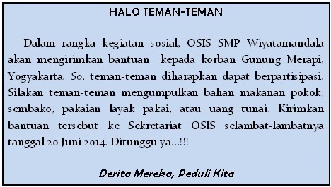 section-media