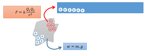 section-media