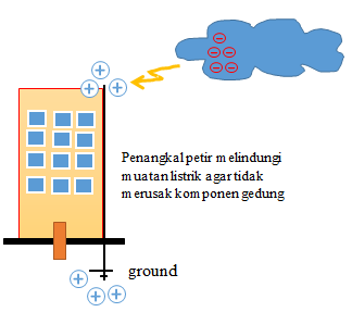 section-media