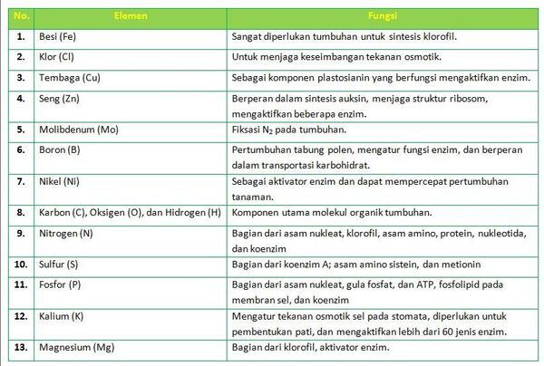 section-media