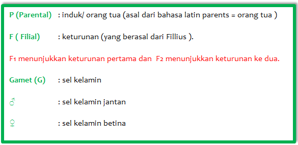 Persilangan Monohibrid Dihibrid Dan Manfaat Persilangan Bagi