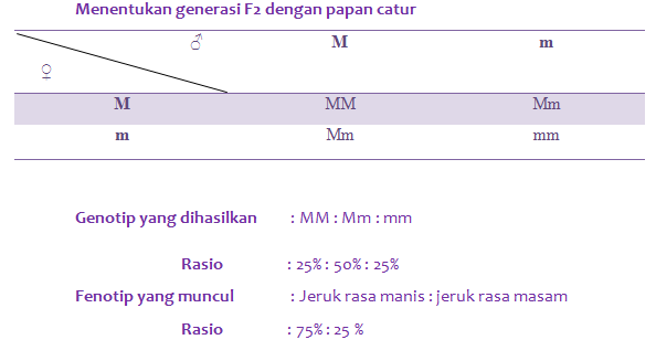  Persilangan  Monohibrid Dihibrid dan Manfaat Persilangan  